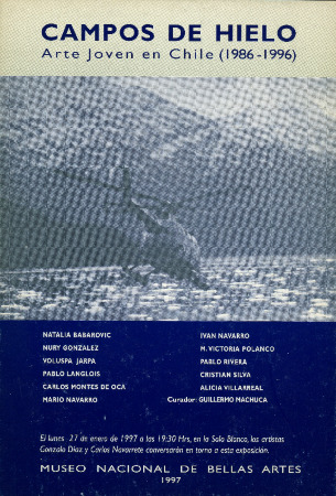Campos de Hielo. Arte Joven en Chile (1986-1996)