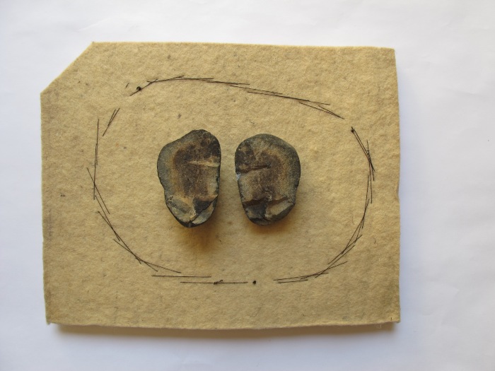 Contraseña en Mujeres. Ecos del pasado, voces de hoy