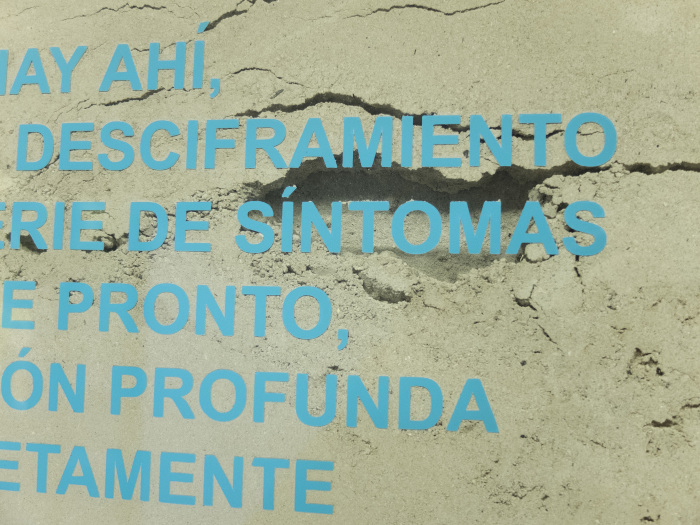 Ruidos y Temblores, detalle