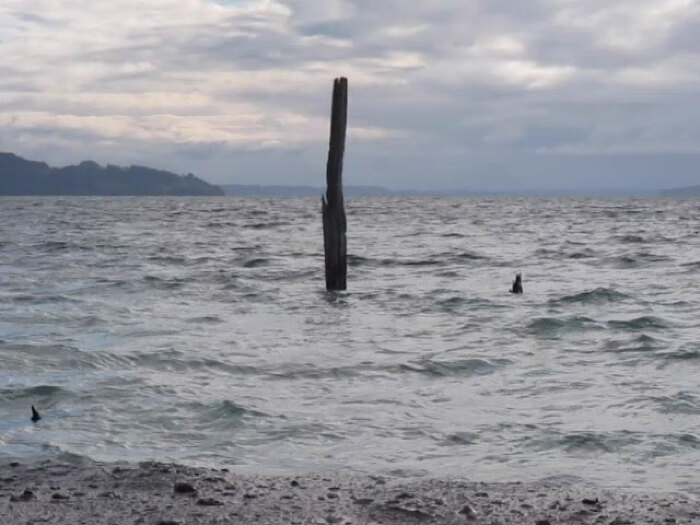 Hasta que valga la pena vivir