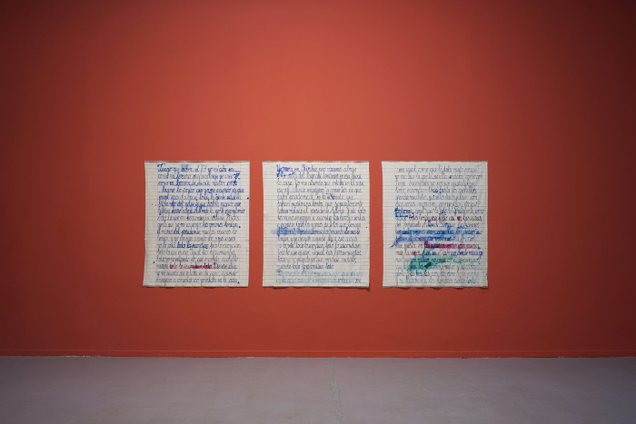 Relatos para nunca olvidar_Celcy Soto en Presente