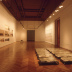 Campos de Hielo. Arte Joven en Chile (1986-1996)