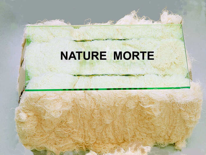 Nature Morte