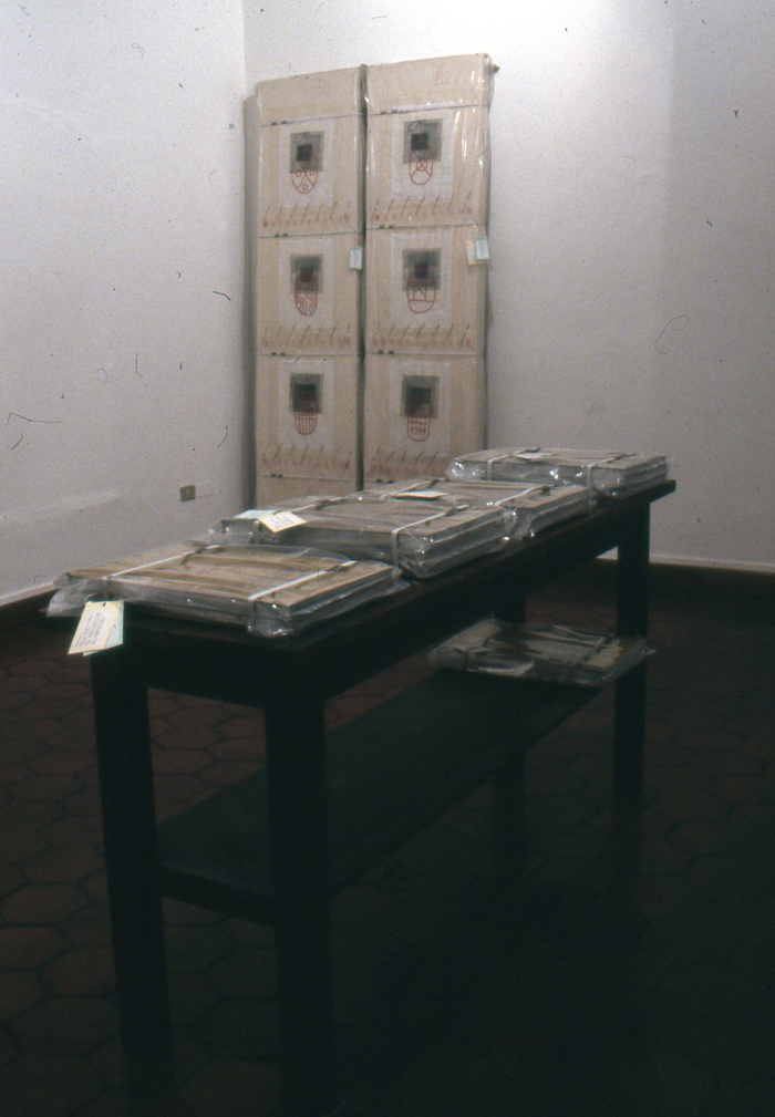 De la serie Tránsitos Cosidos